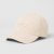 Sand Dollar