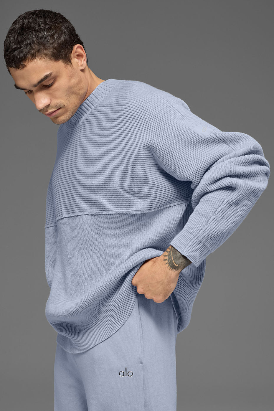 Domain Shift Rib Knit Sweater Crew - Winter Frost - Image 3